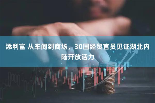 添利富 从车间到商场，30国经贸官员见证湖北内陆开放活力